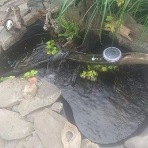 Meet your Posher, Sean